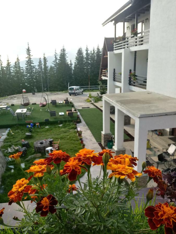 Hotel Cetina Ranca Exterior foto